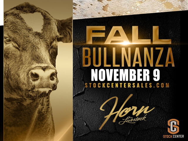 Horn Livestock Fall Bullnanza