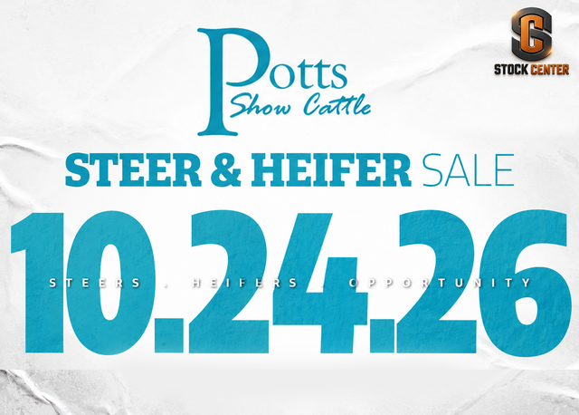 Potts Show Cattle Steer & Heifer Sale