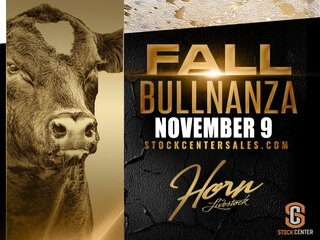 Horn Livestock Fall Bullnanza