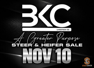 BKC Livestock A Greater Purpose Steer & Heifer Sale