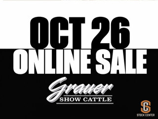 Grauer Show Cattle Online Sale