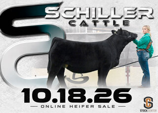 Schiller Cattle Heifer Sale