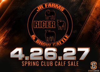 JR Farms Spring Club Calf Sale