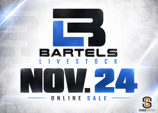 Bartels Livestock Online Sale