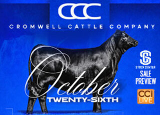 Cromwell Cattle Co All American Sale